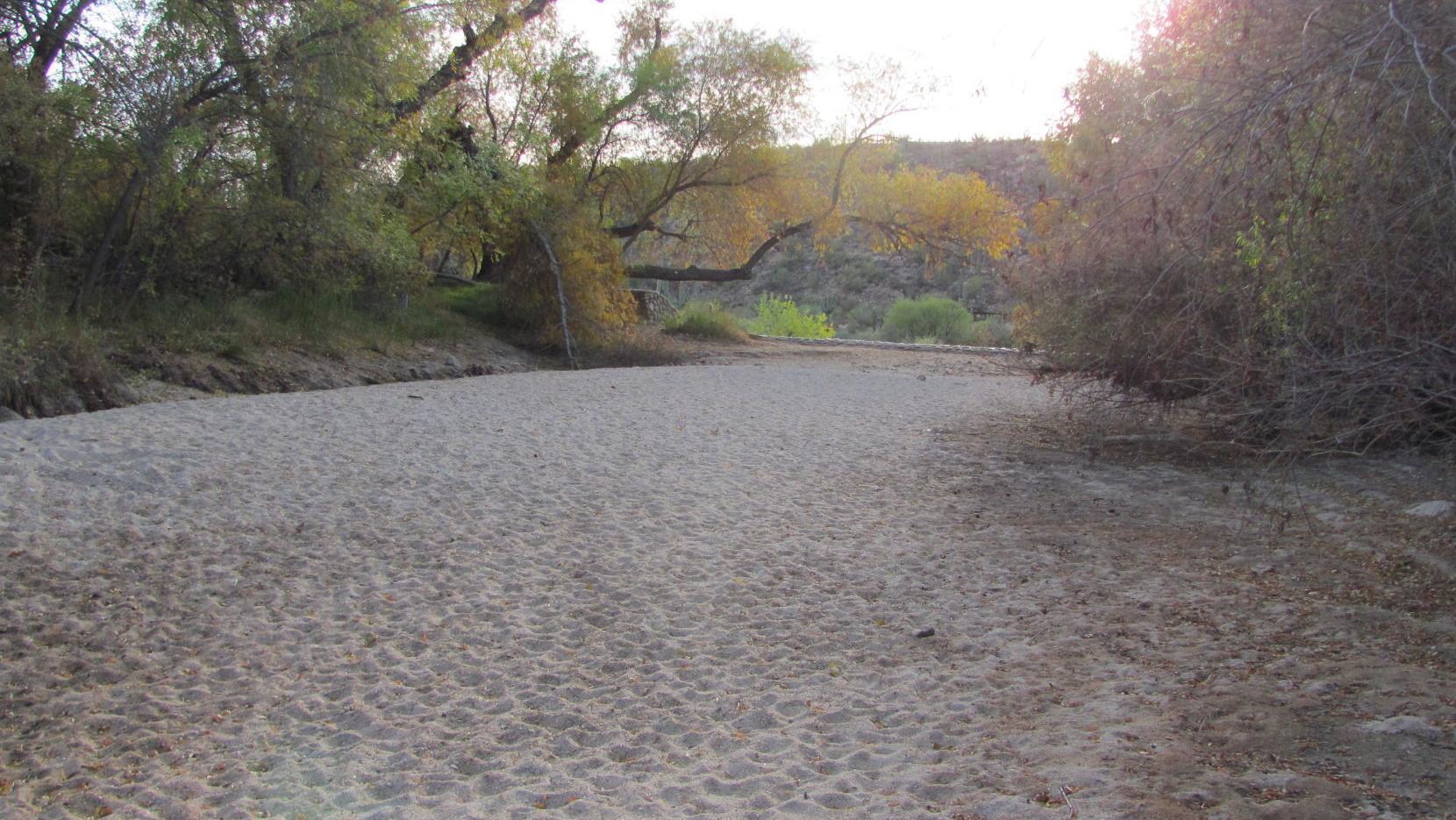 Popular Sabino Creek is bone-dry after months with no rain